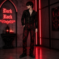 TAPESTRY VICTORIAN VAMPIRE DRACULA GOTHIC STEAMPUNK PIRATE RED BLACK PANTS